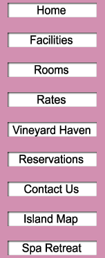 marthas vineyard inn